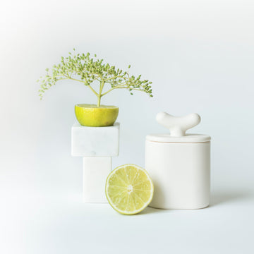 Akebia - świeca z porcelany Parian - Kyuka Design
